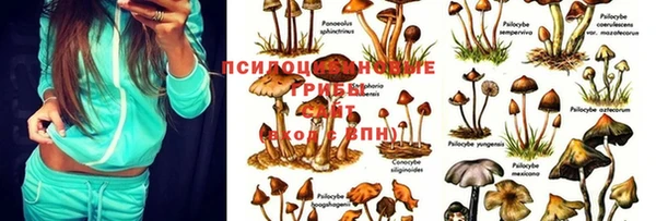 MDMA Балабаново